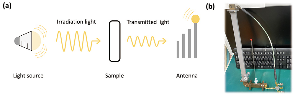 Fig.1　(a) A drawing of transmit absorption measurement. (b) An example of transmission ESR/FMR measuring device using a wave guide.