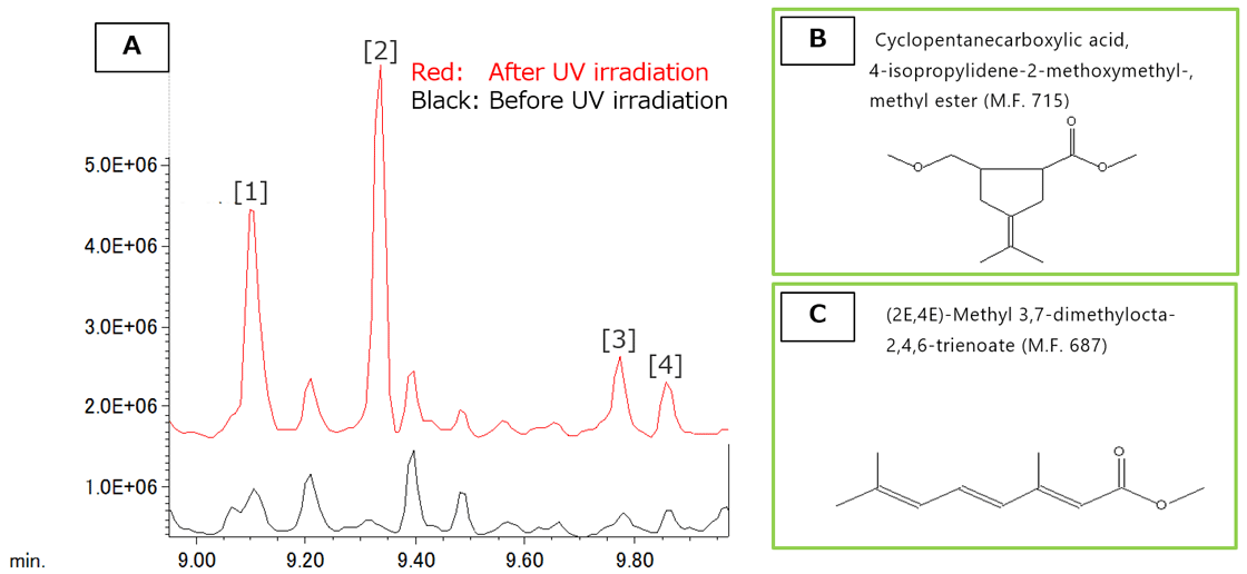 รูปที่ 2 ความแตกต่างของ TICC ก่อนและหลังการฉายรังสี UV