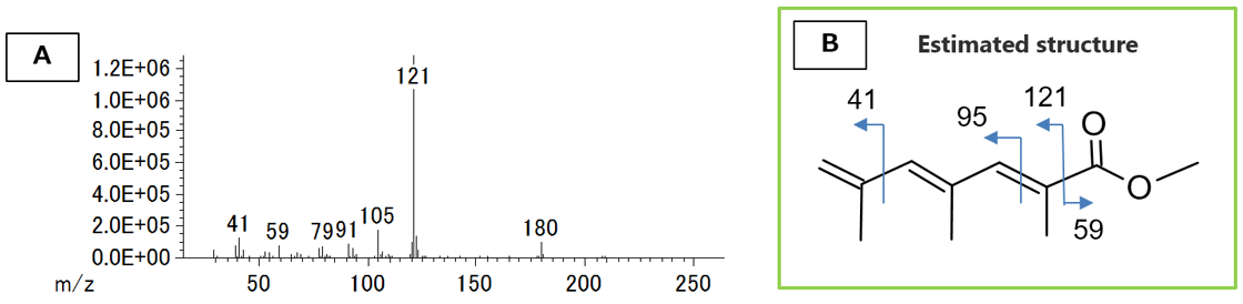 Fig. 3 Mass spectrum of Peak [1] in Figure 2A