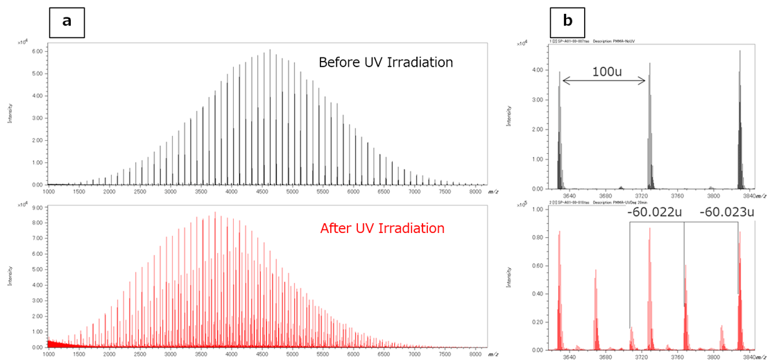 그림 4 MALDI-TOFMS를 이용한 UV 조사 전후 MMA의 질량 스펙트럼