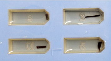 Silicon embedding plate