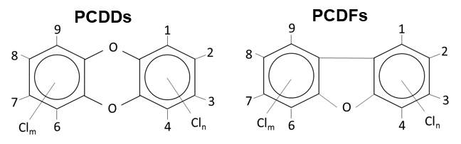 Fig 1. The structures of PCDDs(left) and PCDFs(Right)