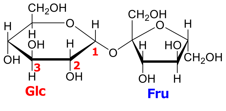 Structure of sucrose