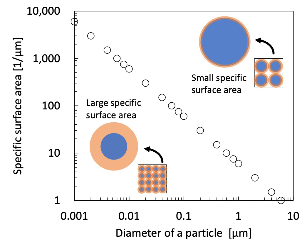 Fig. 1 Particle diameter and specific surface area.
