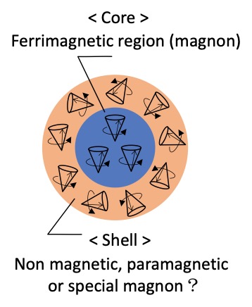 그림 2 코어-쉘 자기 형태.