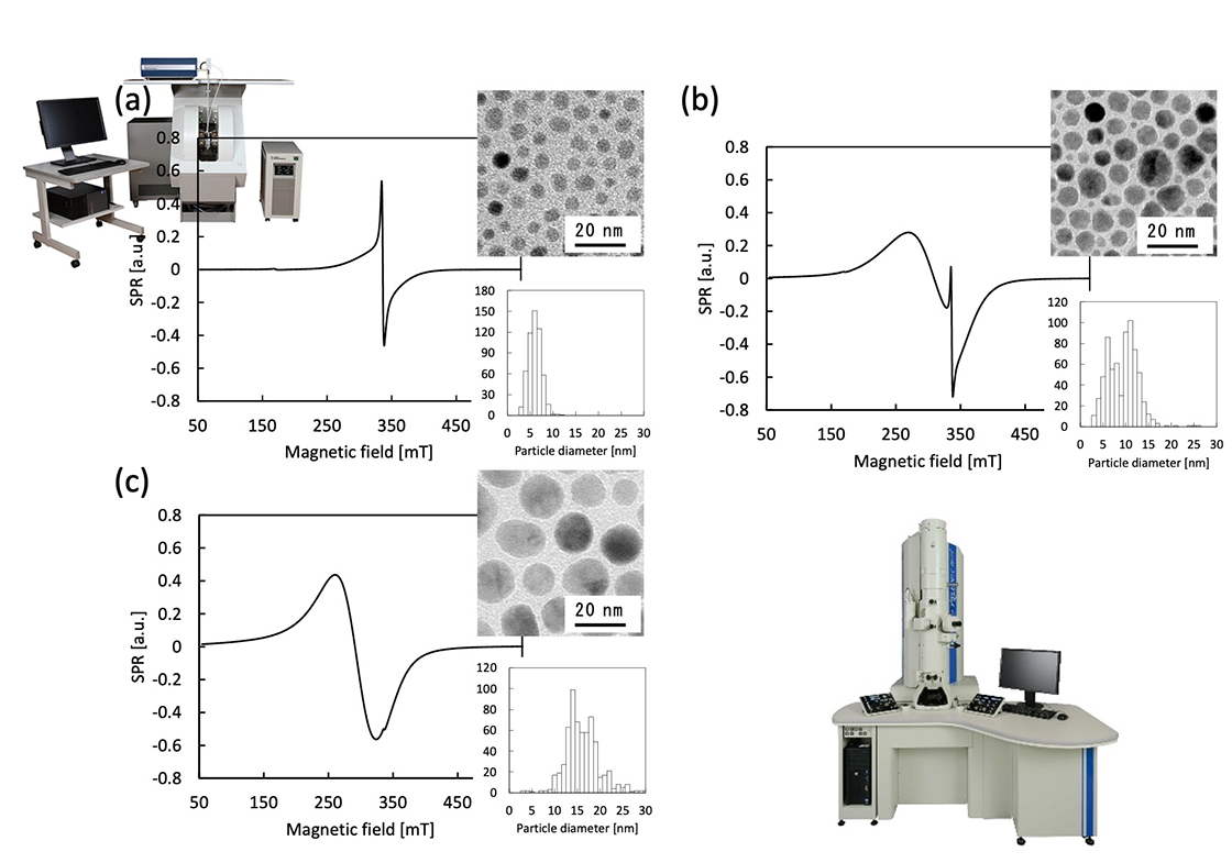 Рис. 3 Спектры ППР дисперсии магнитных наночастиц Fe3O4 в толуоле (0.625 мг/мл), изображения, полученные с помощью ПЭМ (JEM-2100Plus, ускоряющее напряжение 200 кВ), и распределение частиц по размерам.