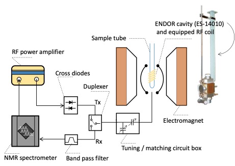 Fig. 2 An example of system block diagram for TD-NMR measurements (<sup>ω<em>H</em></sup>/<sub>2π </sub>= 14.55 MHz) using ENDOR cavity (ES-14010).
