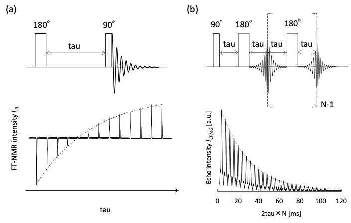 Fig. 3 (a) Pulse sequence of Inversion recovery method and an example of spectral array. (b) Pulse sequence of CPMG method and an example of echo train.