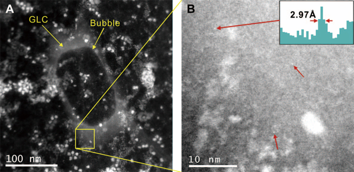 Rajah 10 HAADF (A dan B) imej feritin dalam sel cecair graphene (GLC). Buih dalam (A) telah dibentuk terlebih dahulu menggunakan mod Ronchigram untuk mengesahkan kehadiran cecair. Dalam mod STEM, kadar dos elektron dan masa tinggal piksel dioptimumkan supaya tiada buih selanjutnya terbentuk semasa pengimbasan. Atom besi tunggal diselesaikan dalam persekitaran cecair dalam imej (B) berhampiran pinggir GLC. Profil garis merentasi atom kiri atas ditunjukkan sebagai inset (B), dengan setiap piksel sepadan dengan 0.99 Å. Peleraian imej ini dioptimumkan dengan mengambil imej di bawah kawasan ambang yang sepadan dengan purata kadar dos pembentukan gelembung pada setiap pembesaran.