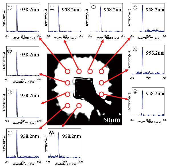 รูปที่ 3 Near-field pattern พร้อม lasing spectra ที่จุดต่างๆ ของอุปกรณ์