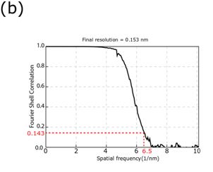 fourier shell correlation