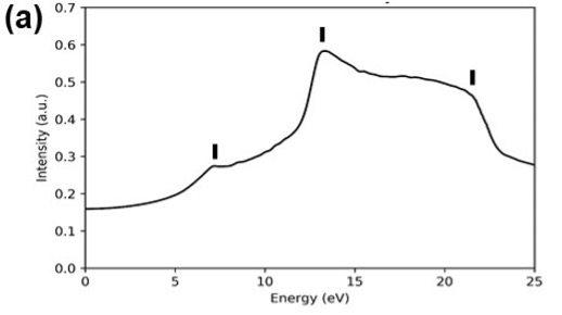 Fig. 2 (a)