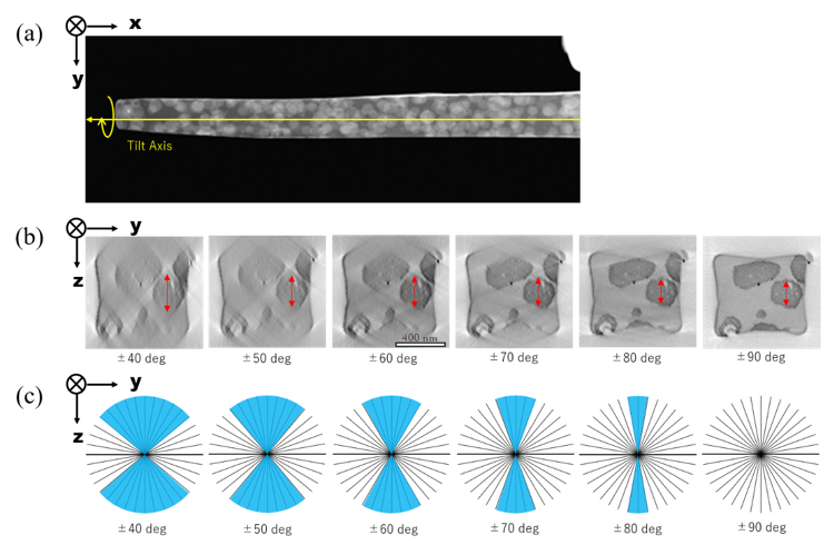 Dark field-STEM image of a high-polymer specimen subjected to pillar-shaped milling