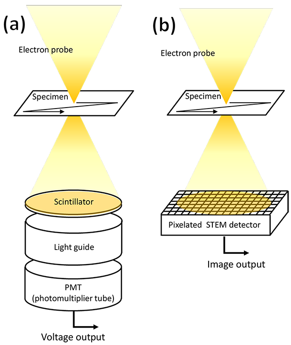 pixel array STEM detector (pixelated STEM detector)