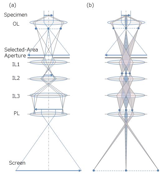 制限視野回折：selected-area_diffraction