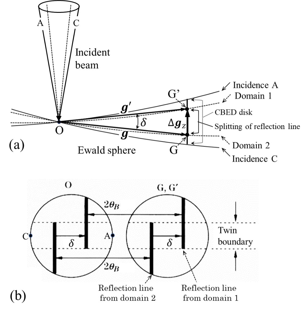 Fig. 2