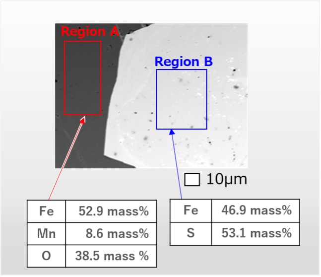 Fig. 5 Backscattered electron compositional image of a mineral specimen.