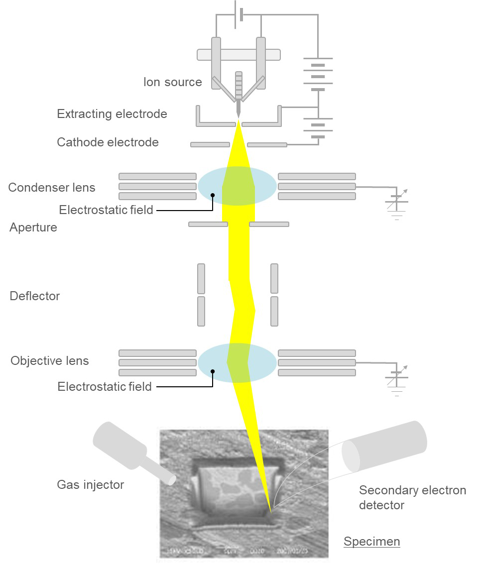 Fig. 3