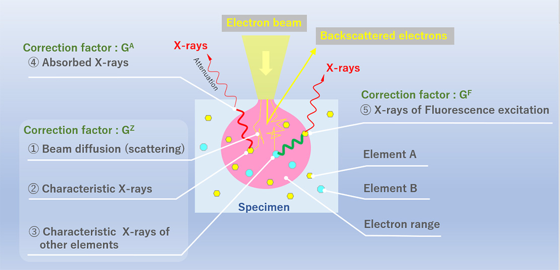 Three correction factors used for quantitative correction