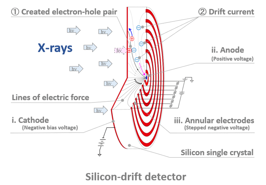Action of SDD