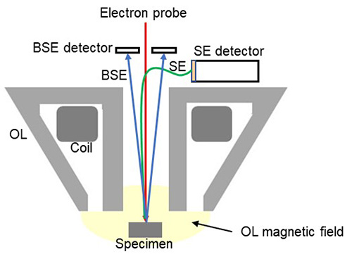 Dader Aanleg Schema TTL detector, through-the-lens detector | Glossary | JEOL Ltd.